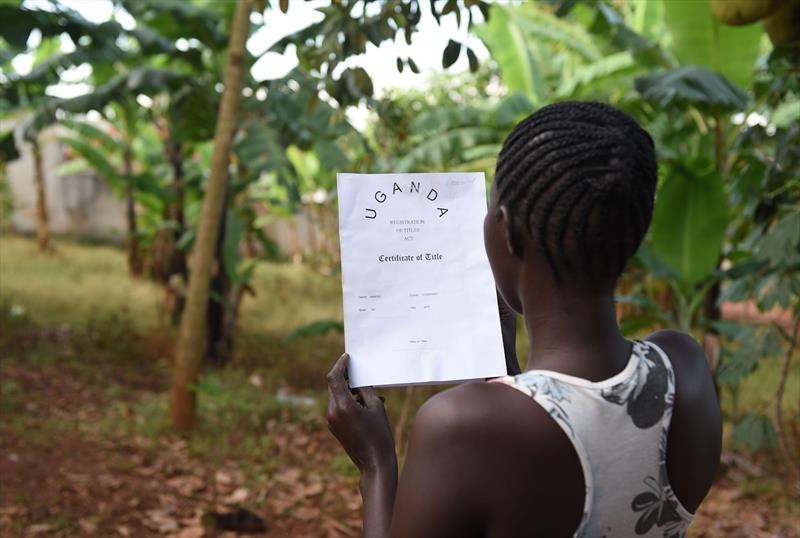 LAND TITLE PROCESSING