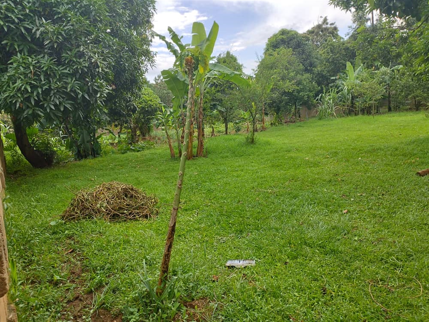6 bedroom Bungalow for sale in Entebbe Wakiso Uganda