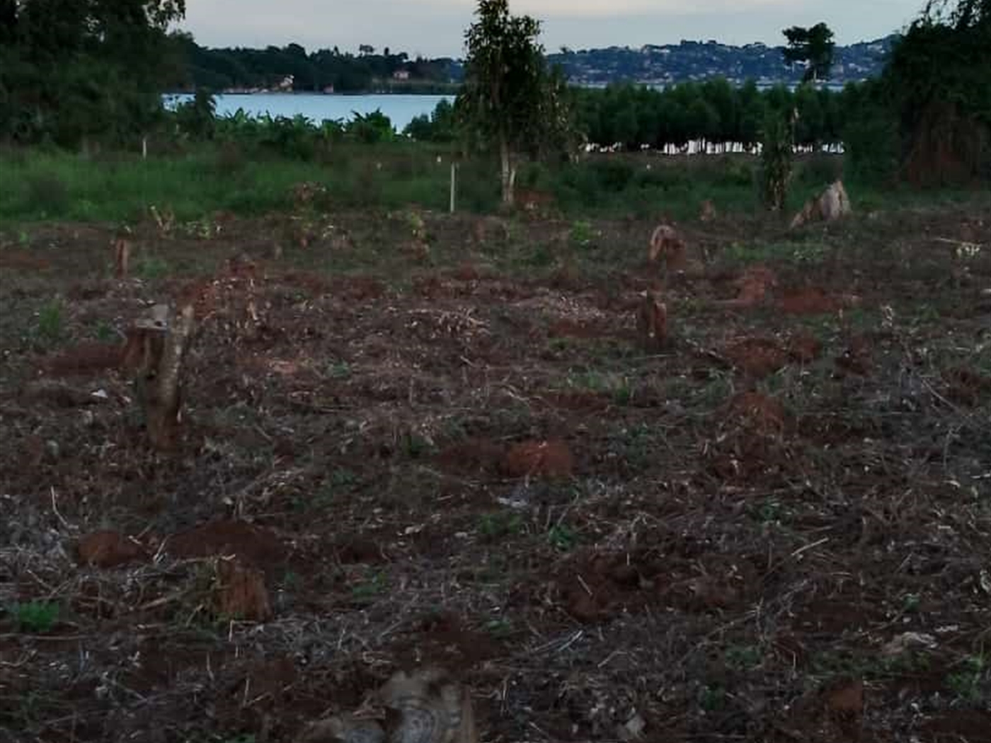 Agricultural land for sale in Buwaya Kamuli Uganda