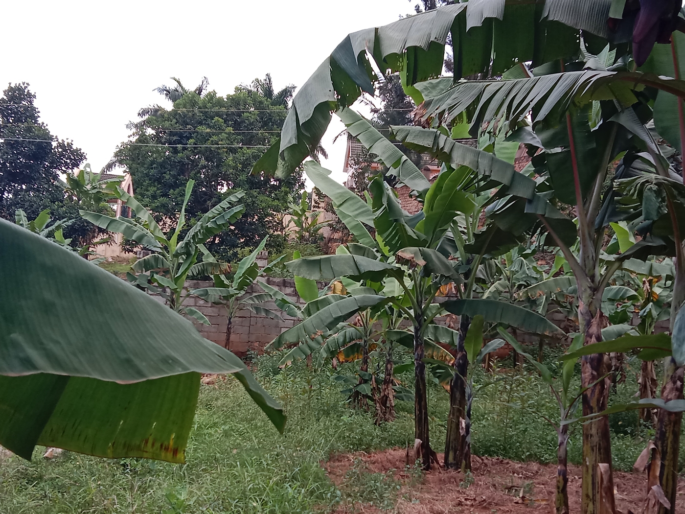 Multipurpose space for sale in Seguku Wakiso Uganda