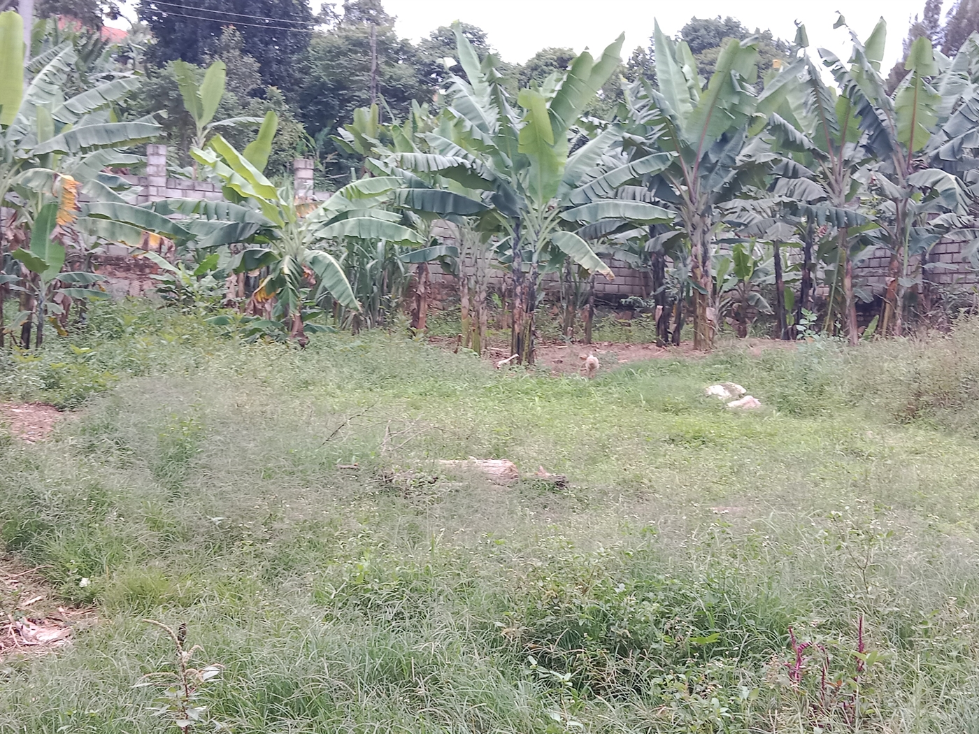 Multipurpose space for sale in Seguku Wakiso Ugand...