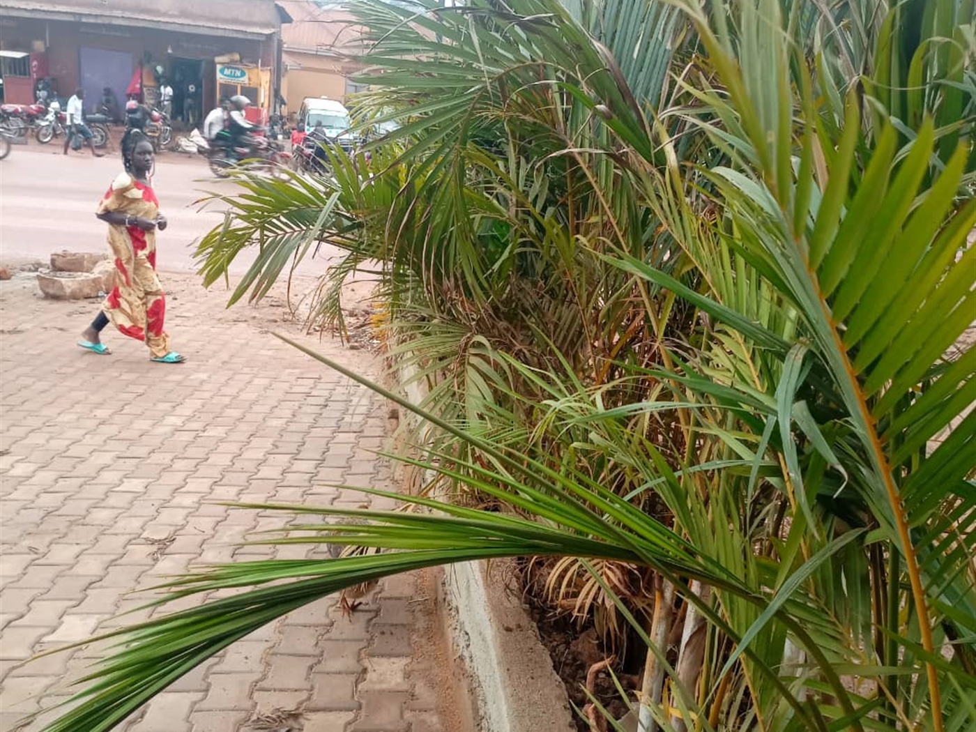 Guest house for sale in Nateete Kampala Uganda