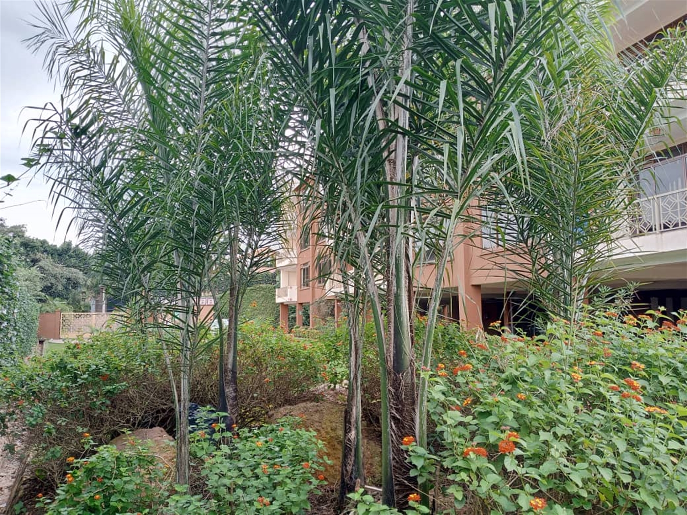 2 bedroom Apartment for sale in Buziga Kampala Uganda