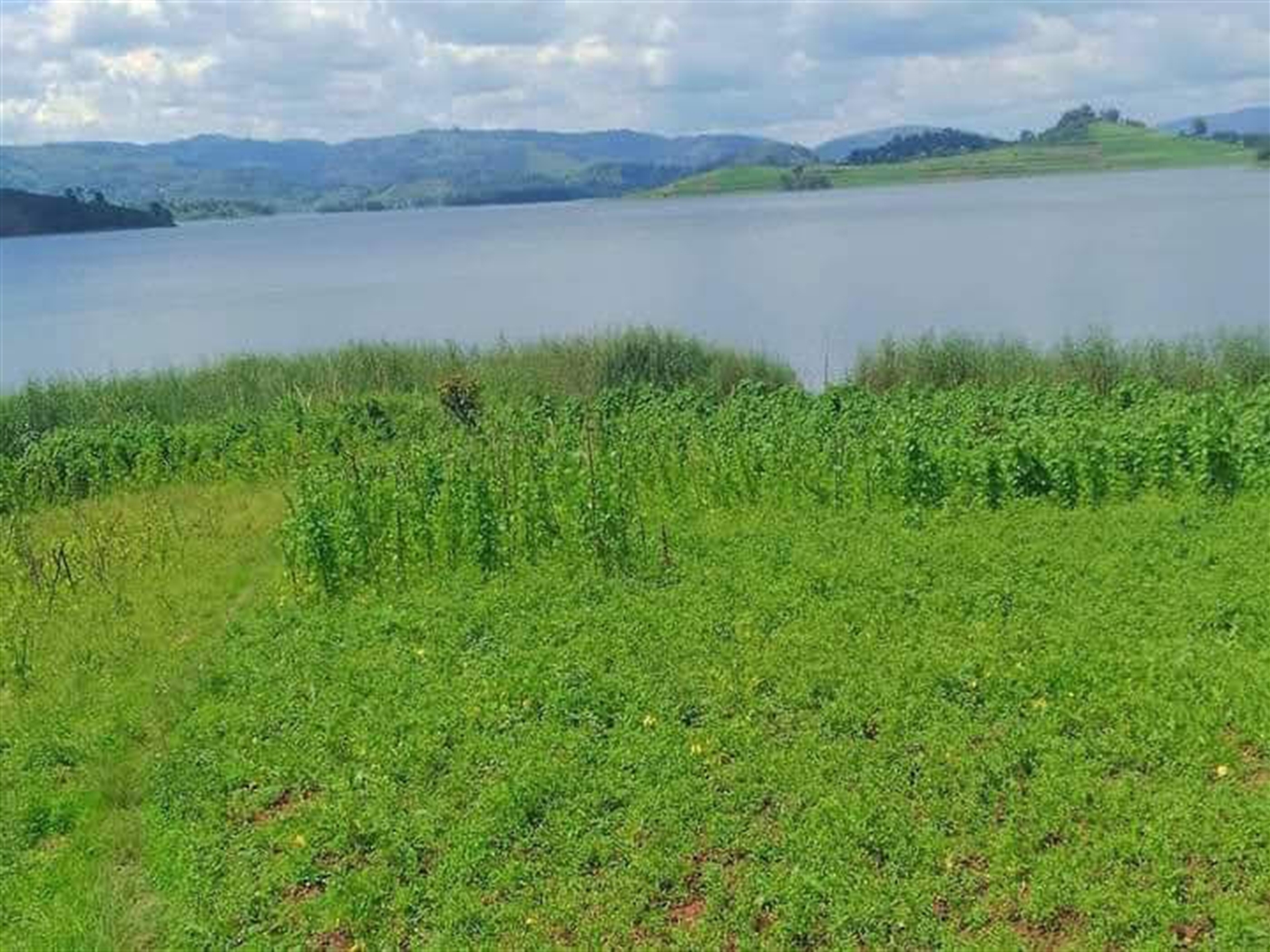 Beach for sale in Samukaisland Jinja Uganda
