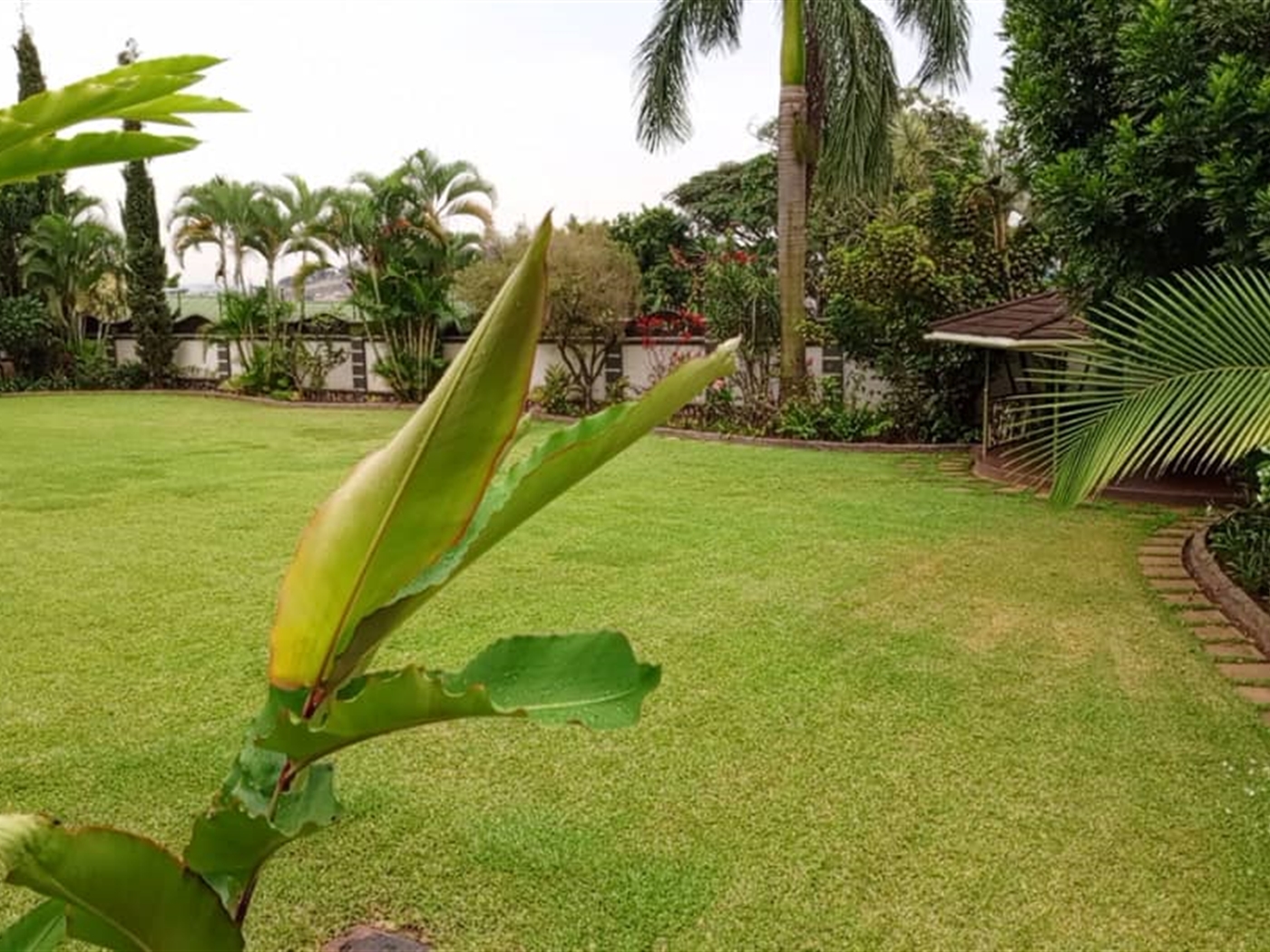 7 bedroom Mansion for sale in Mbuya Kampala Uganda