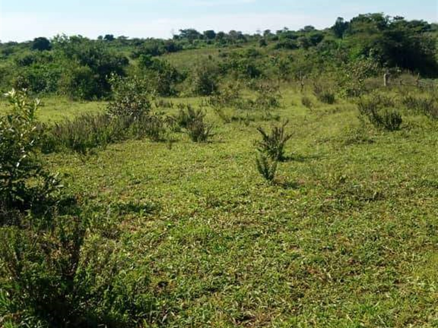 Residential land for sale in Kakooge Wakiso Uganda