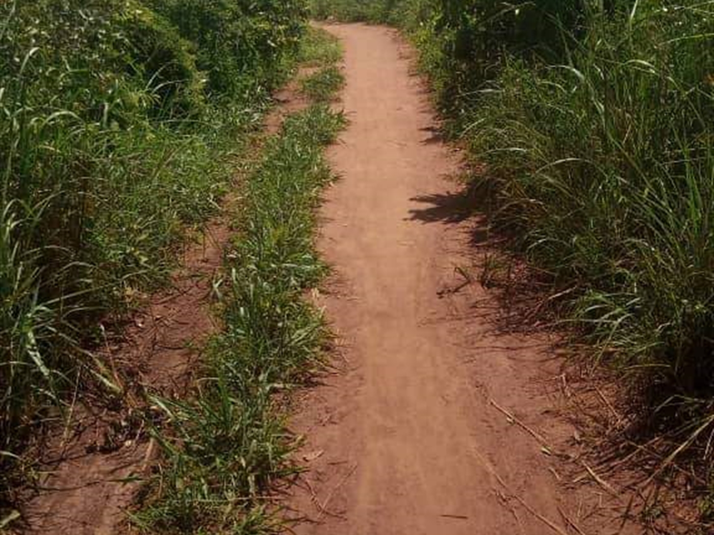 Residential land for sale in Kakooge Wakiso Uganda