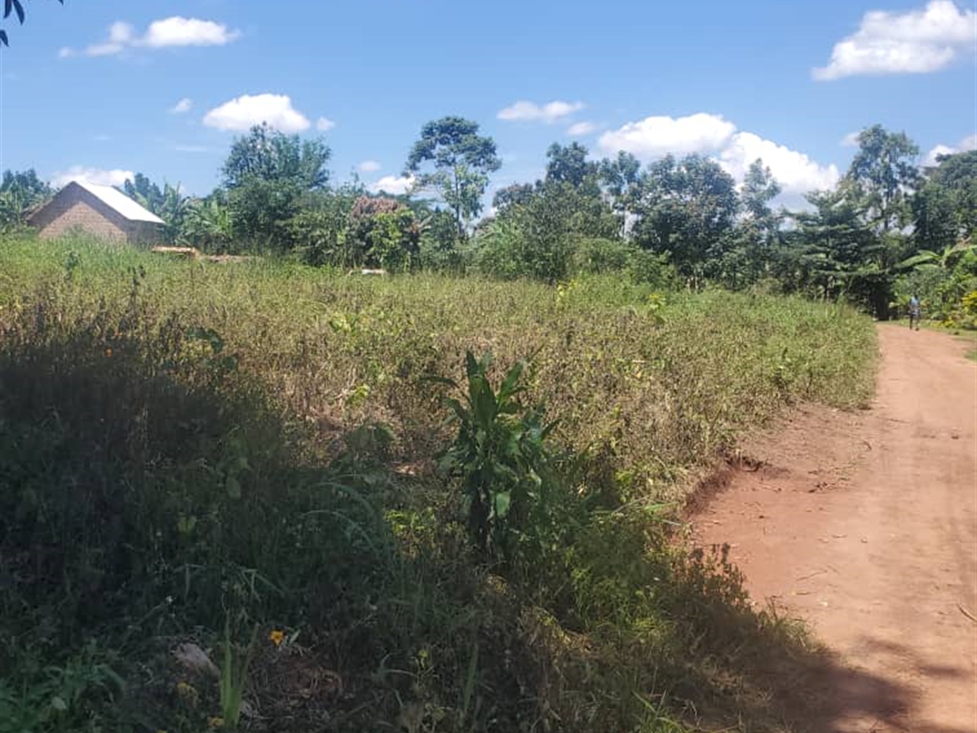 Residential land for sale in Matugga Wakiso Uganda