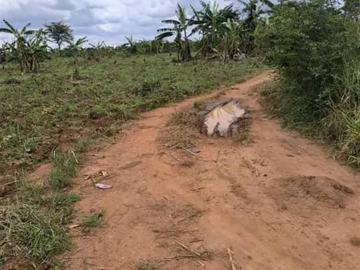 Residential land for sale in Kakoonge Luweero Uganda