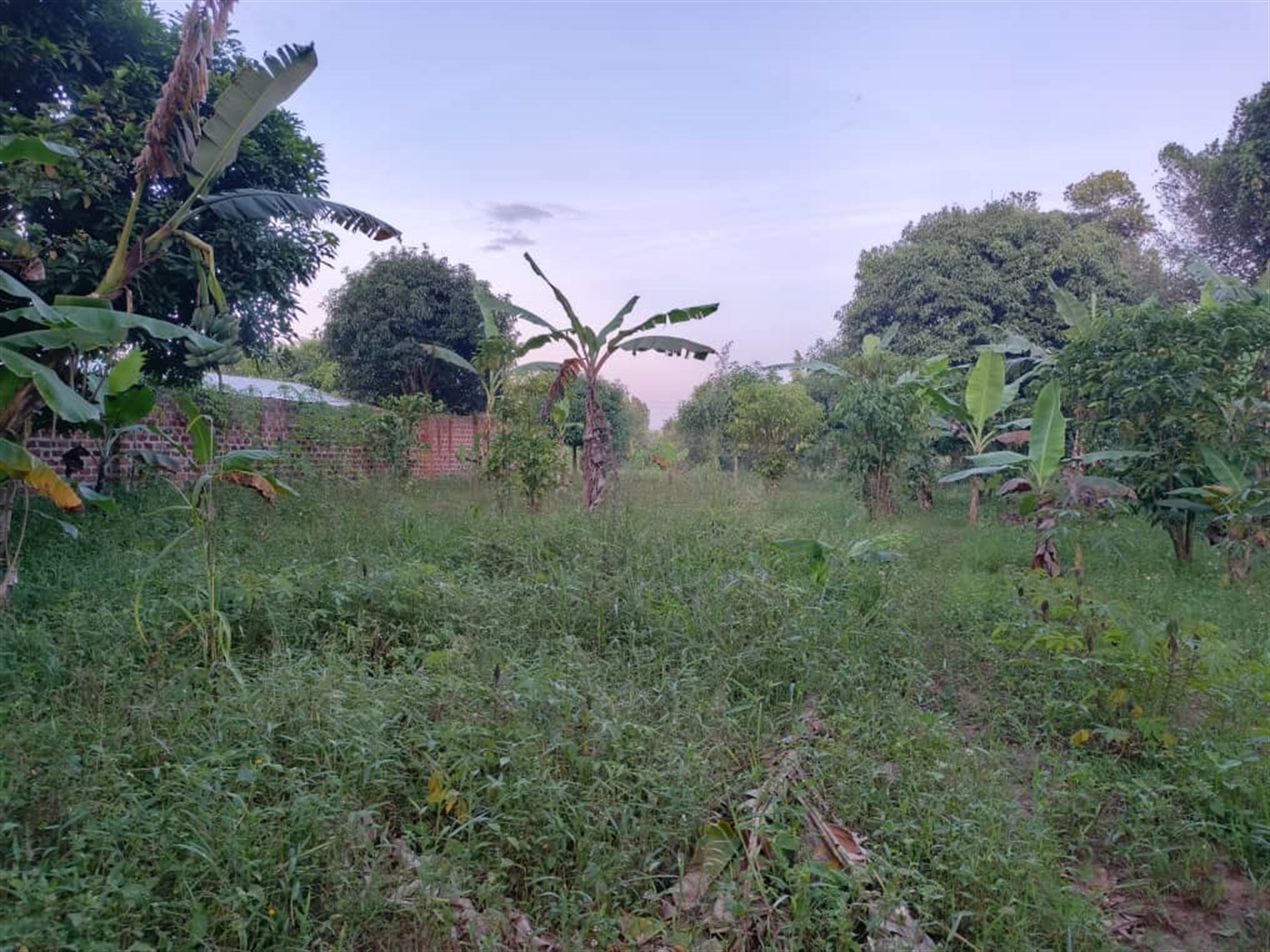 Residential land for sale in Matugga Wakiso Uganda