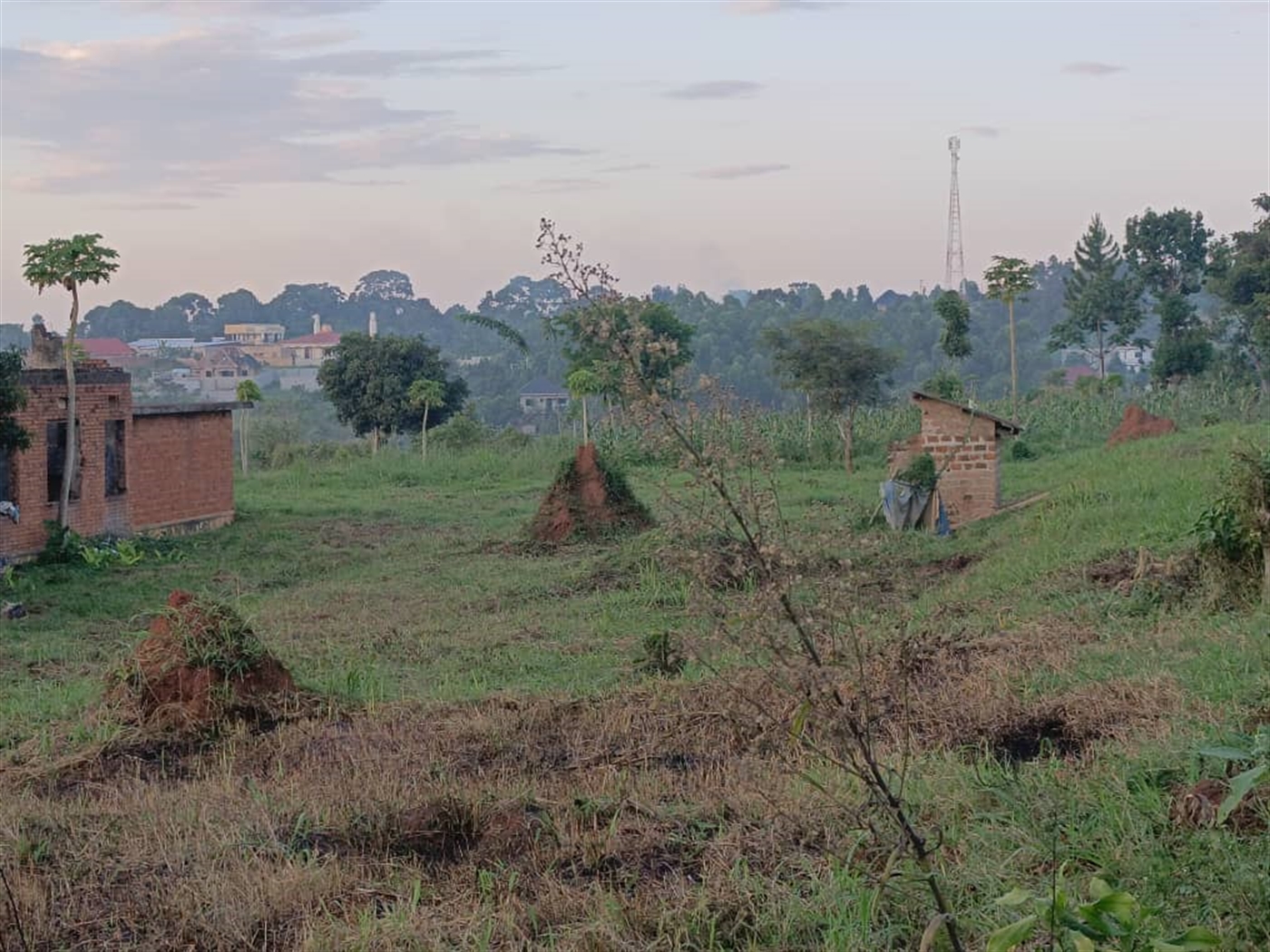 Residential land for sale in Matugga Wakiso Uganda