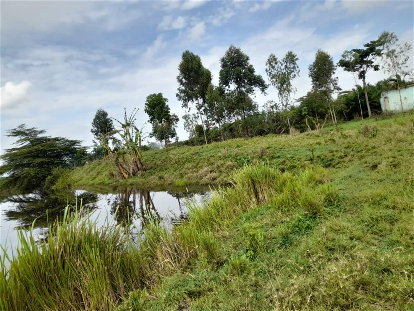Agricultural land for sale in Kikube Luweero Uganda
