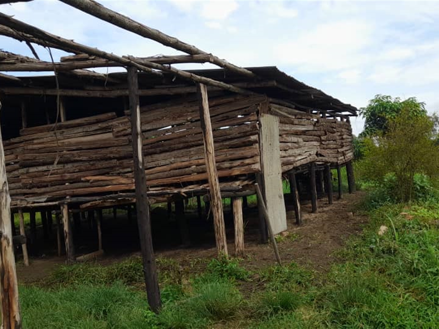 Agricultural land for sale in Kikube Luweero Uganda