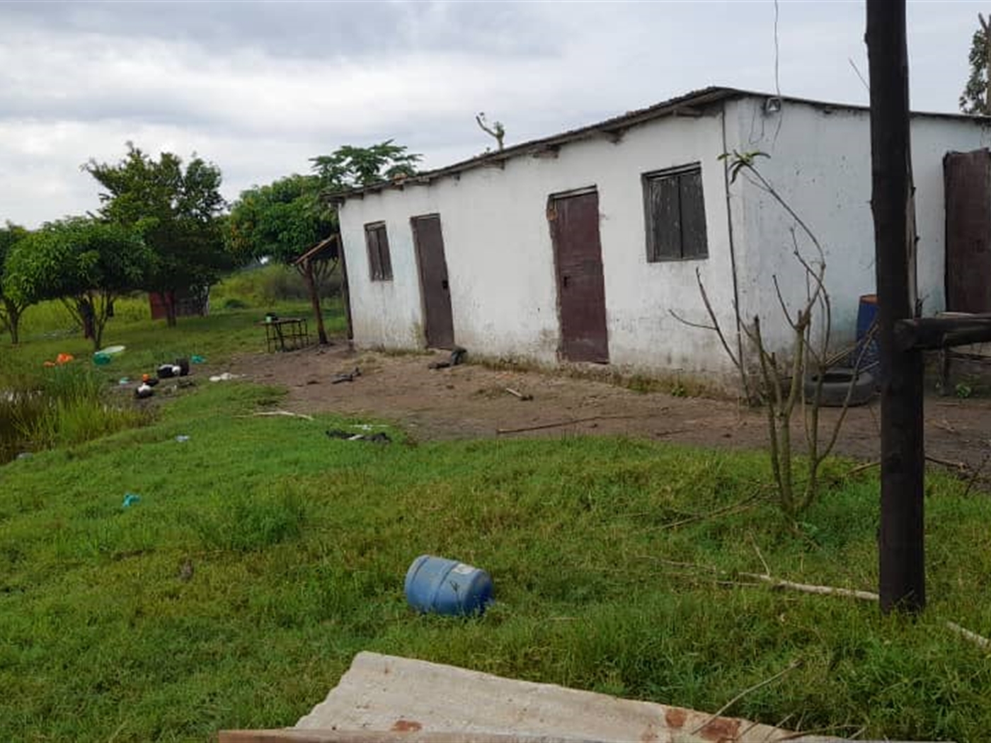 Agricultural land for sale in Kikube Luweero Uganda