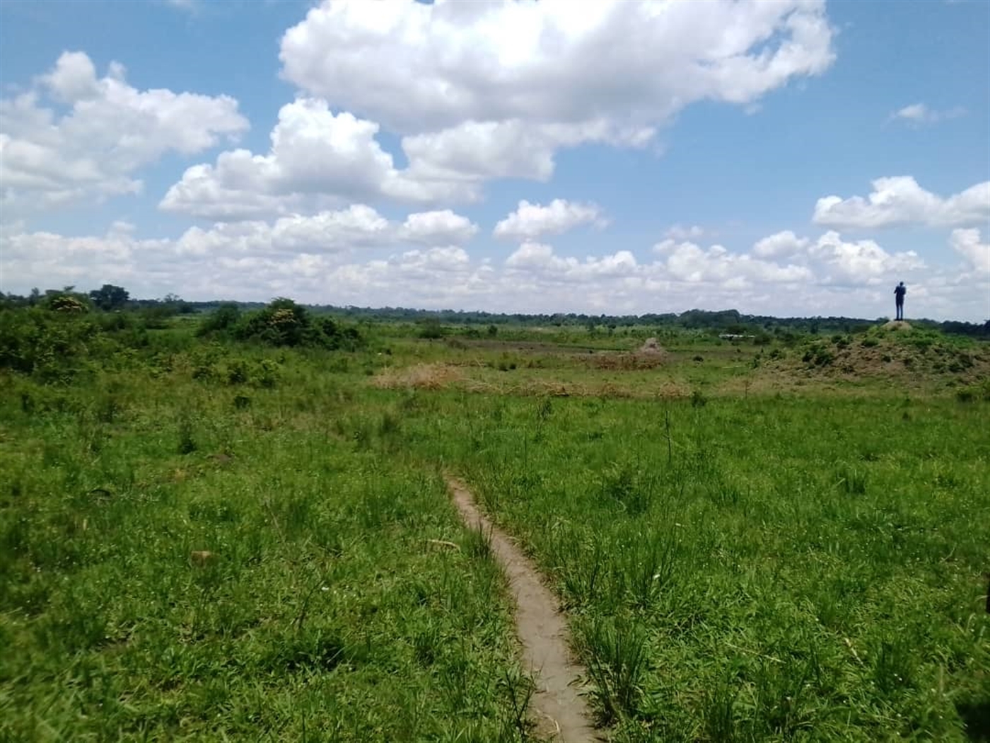 Residential land for sale in Bugerere Kayunga Uganda