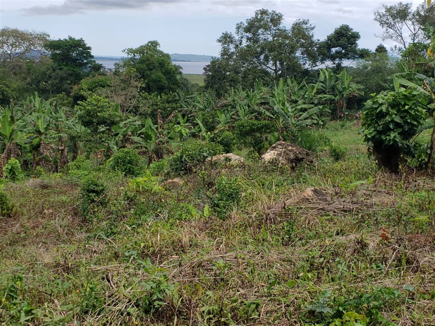Commercial land for sale in Mpata Mukono Uganda