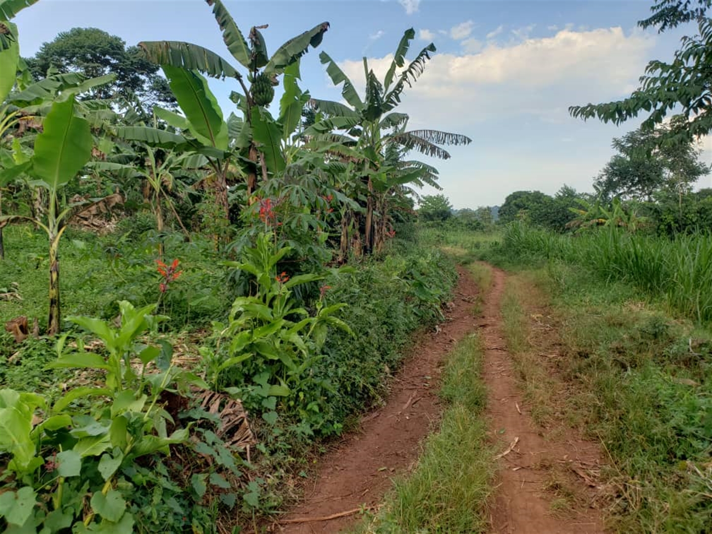 Residential land for sale in Lugazi Jinja Uganda