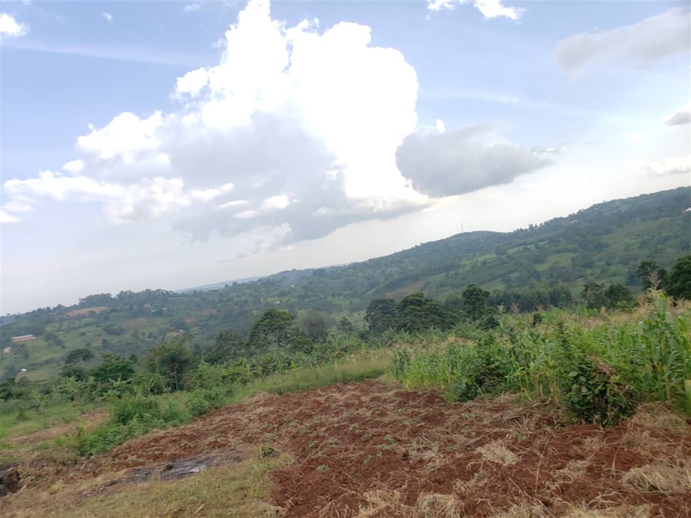 Residential land for sale in Lugazi Jinja Uganda