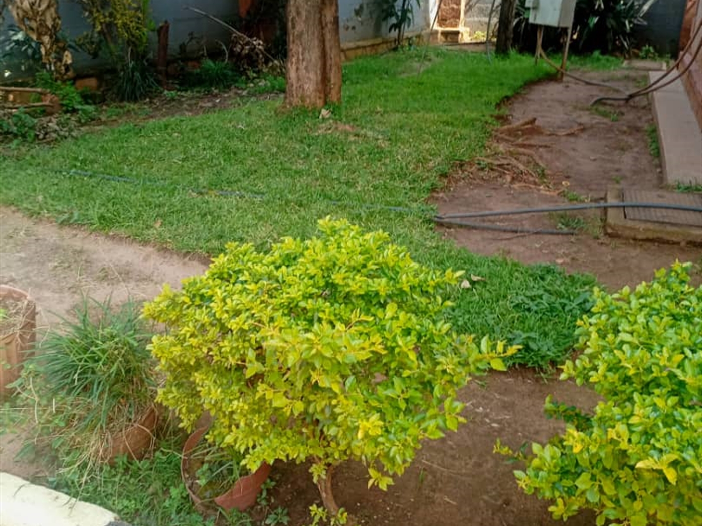 bedroom Apartment for sale in Kansanga Kampala Uganda