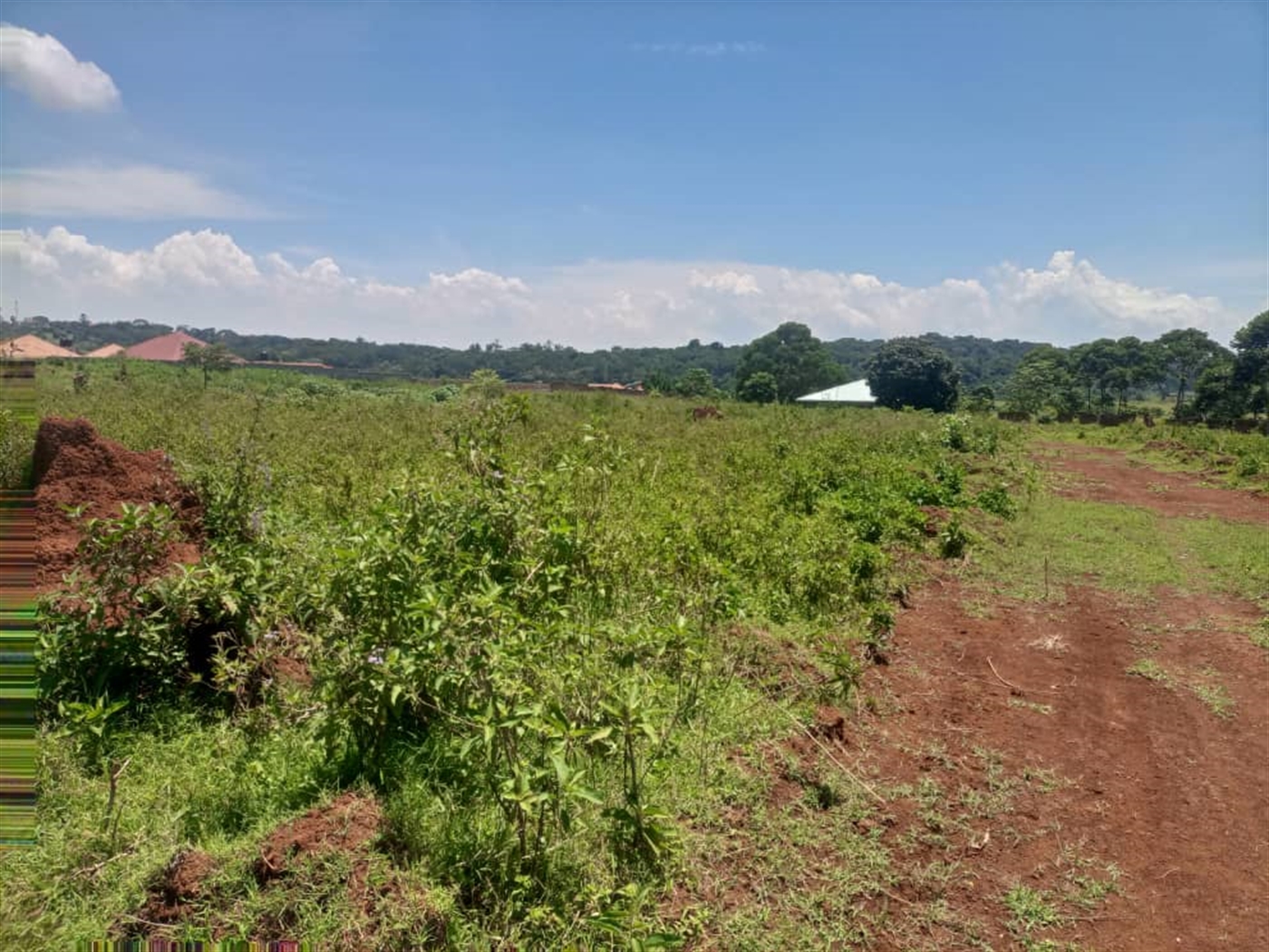 Residential land for sale in Garuga Wakiso Uganda