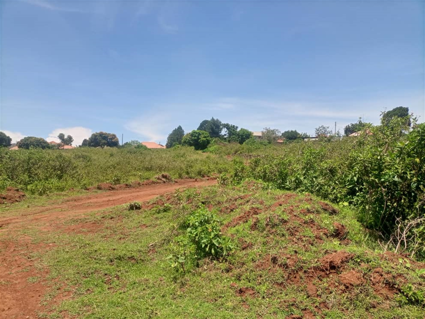 Residential land for sale in Garuga Wakiso Uganda