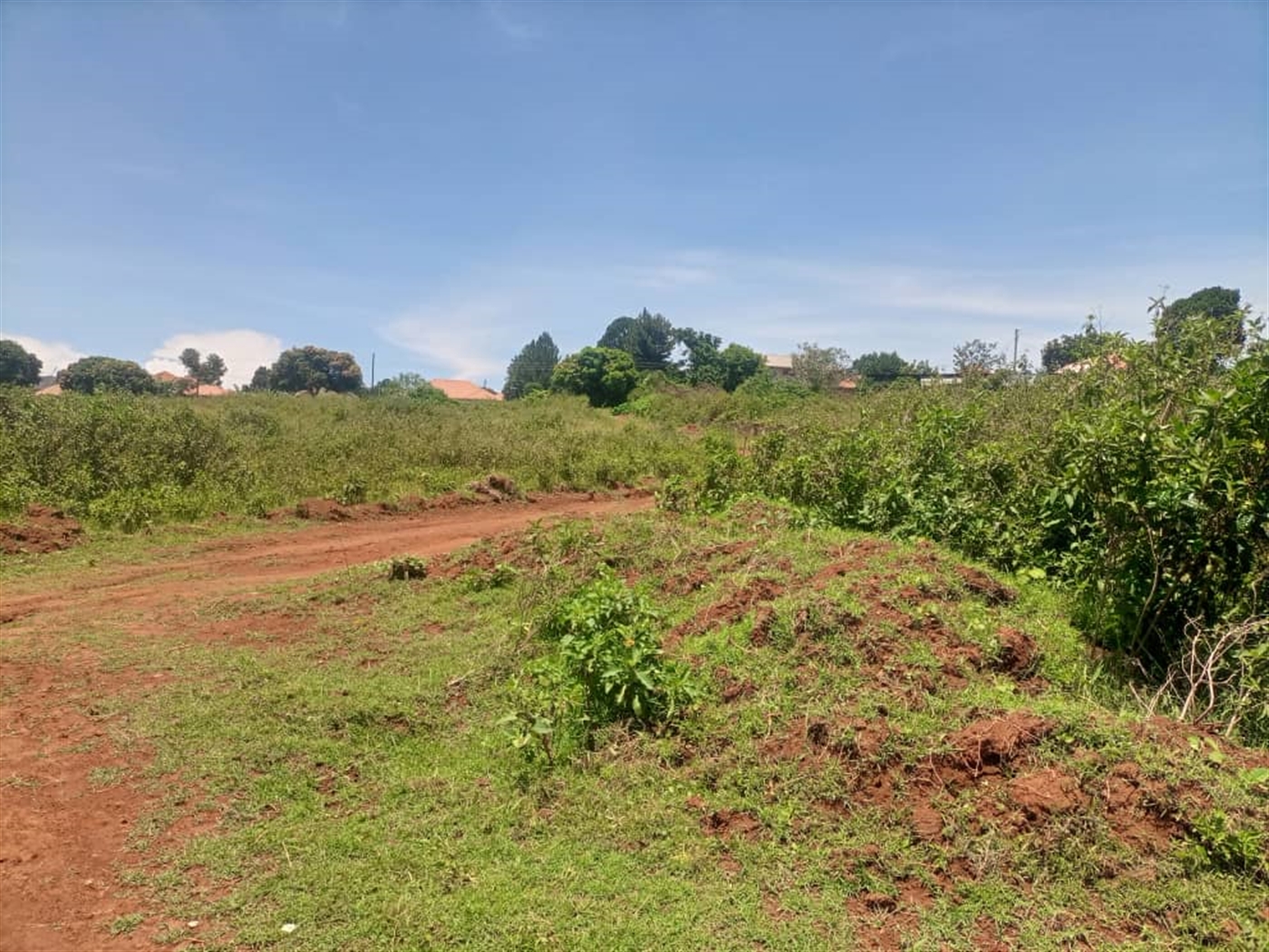 Residential land for sale in Garuga Wakiso Uganda
