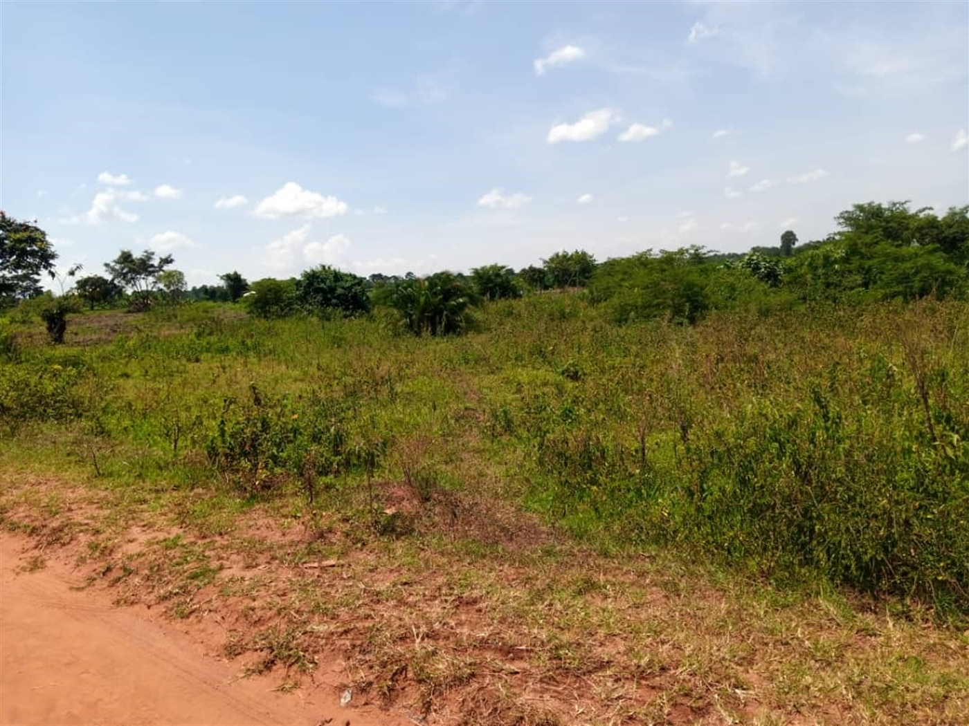 Residential land for sale in Janda Wakiso Uganda
