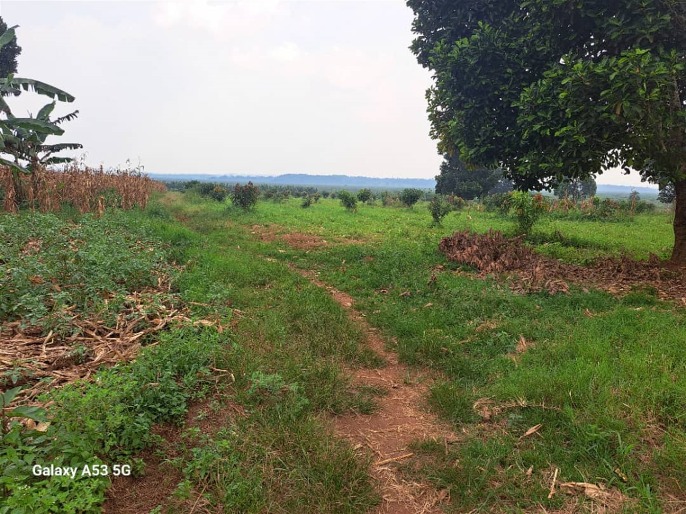 Residential land for sale in Janda Wakiso Uganda