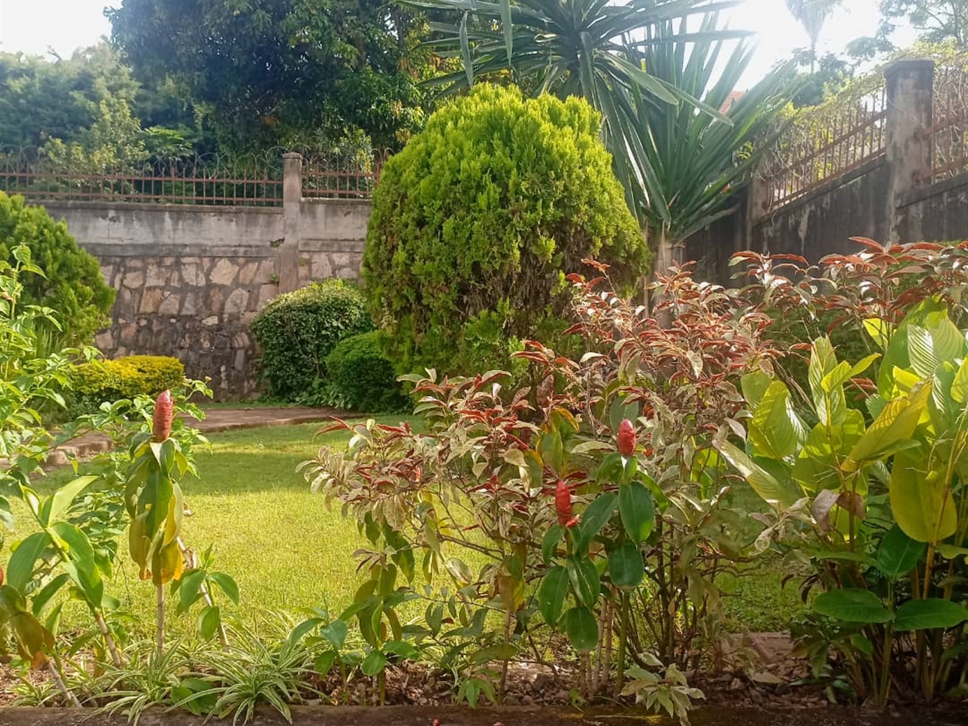 5 bedroom Storeyed house for sale in Bunamwaaya Wakiso Uganda