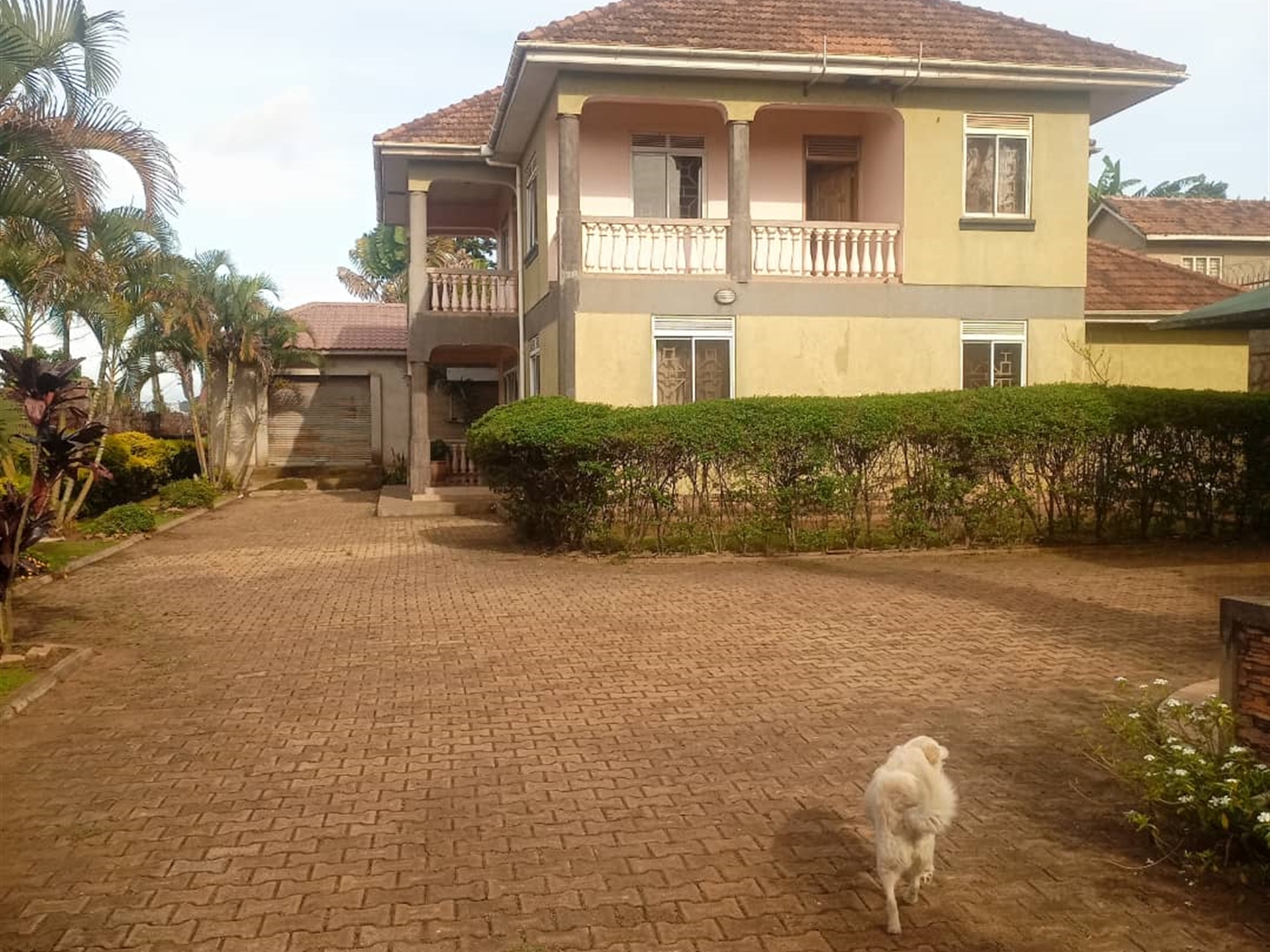 5 bedroom Storeyed house for sale in Bunamwaaya Wakiso Uganda