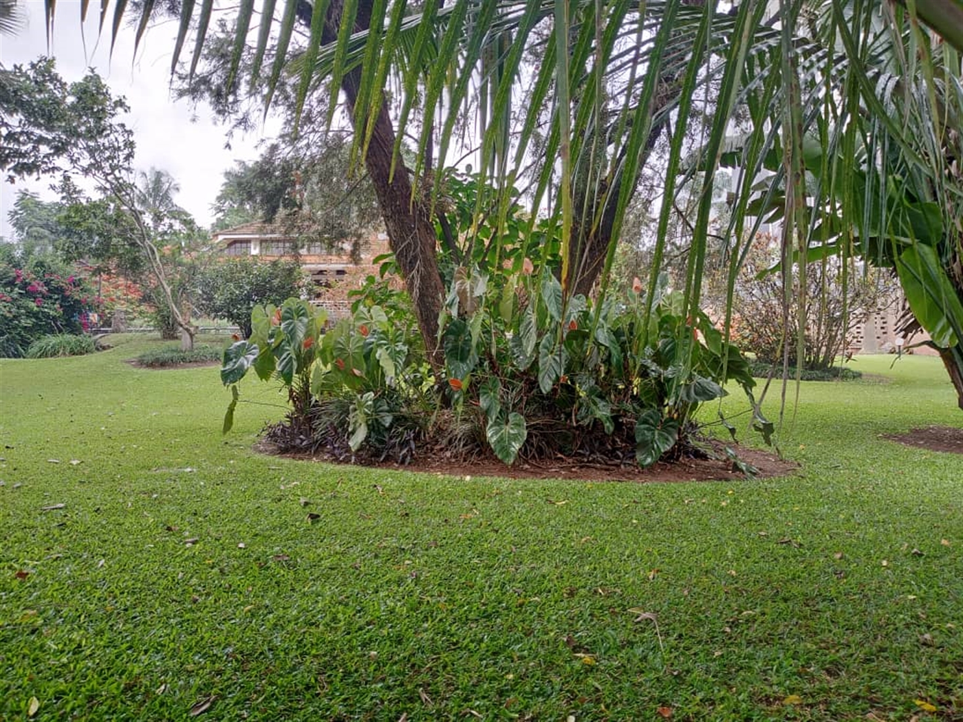 5 bedroom Bungalow for sale in Kololo Kampala Uganda