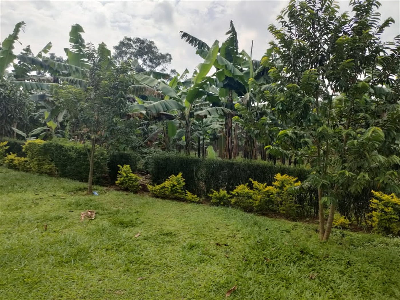 5 bedroom Storeyed house for sale in Katubwe Wakiso Uganda