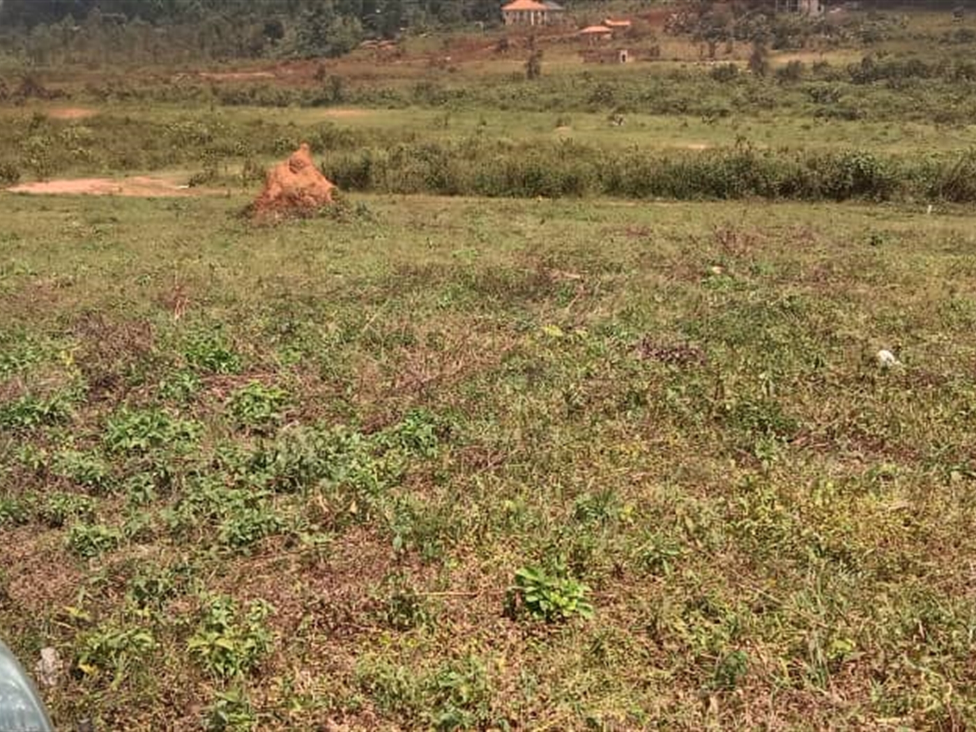 Residential land for sale in Akright Wakiso Uganda