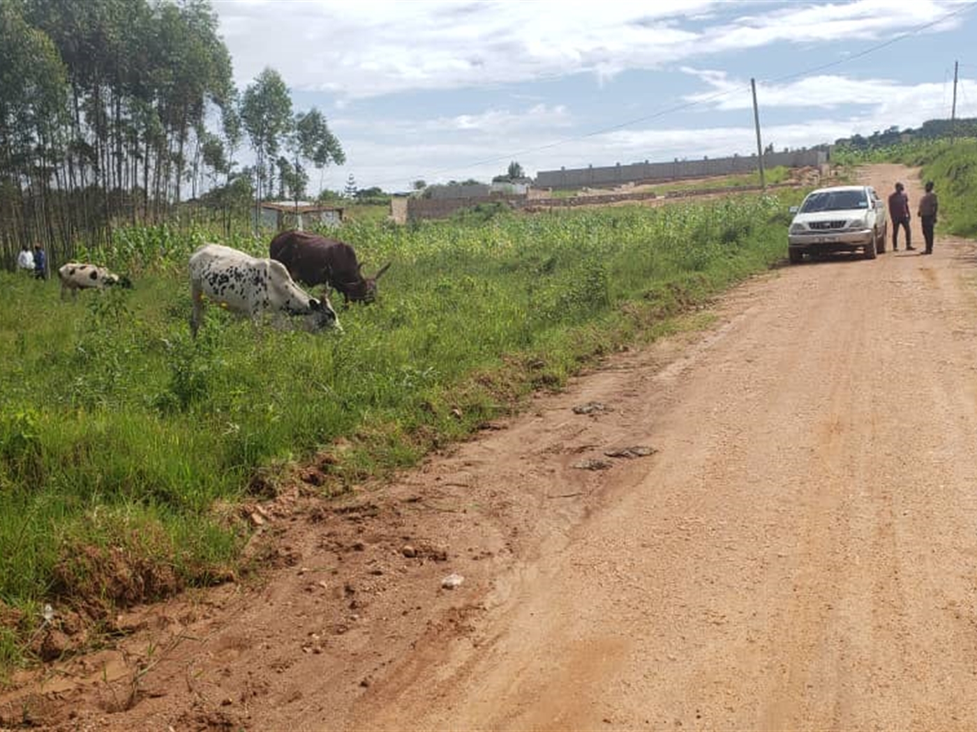 Residential land for sale in Akright Wakiso Uganda