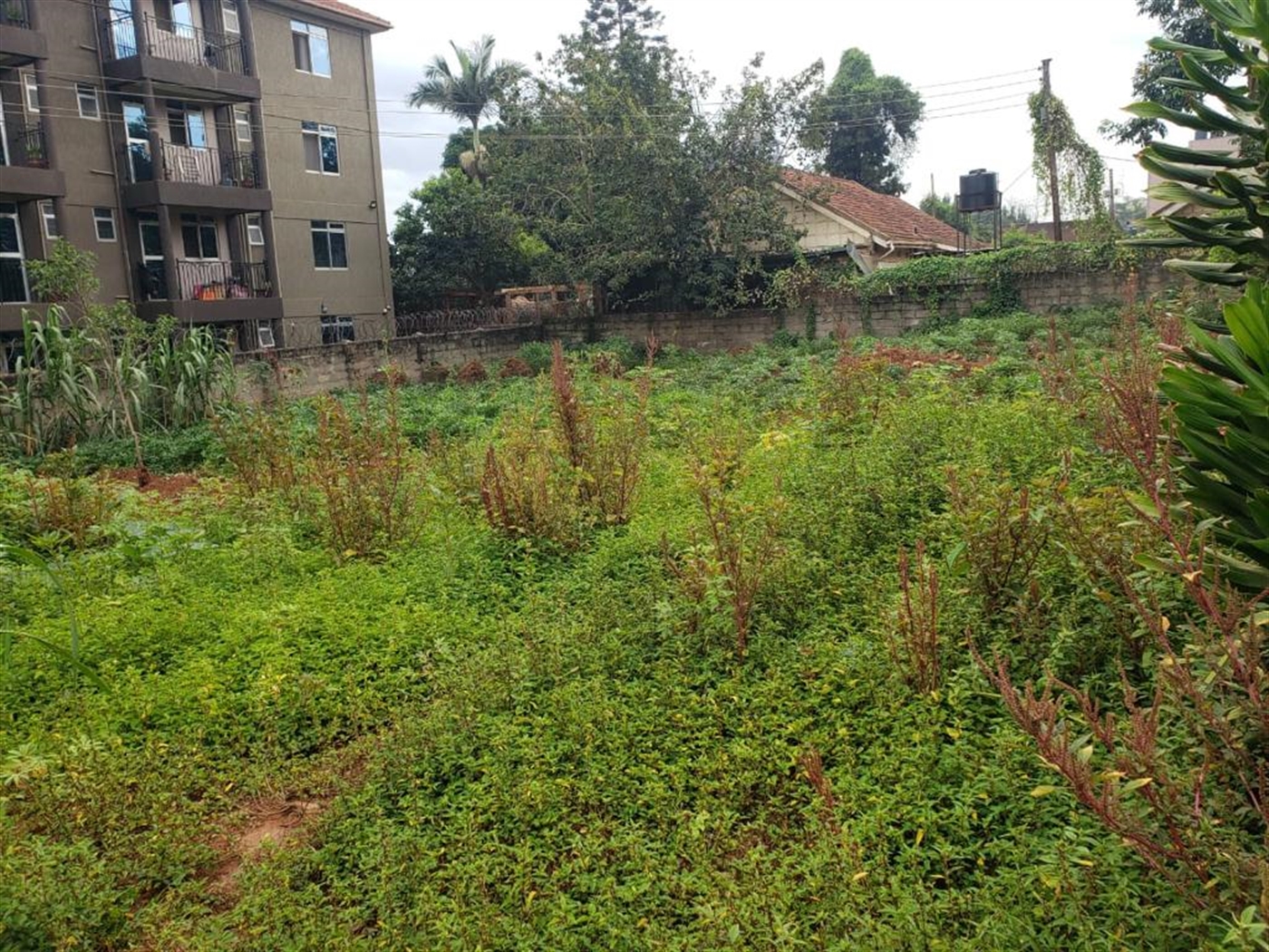 Residential land for sale in Bukoto Wakiso Uganda
