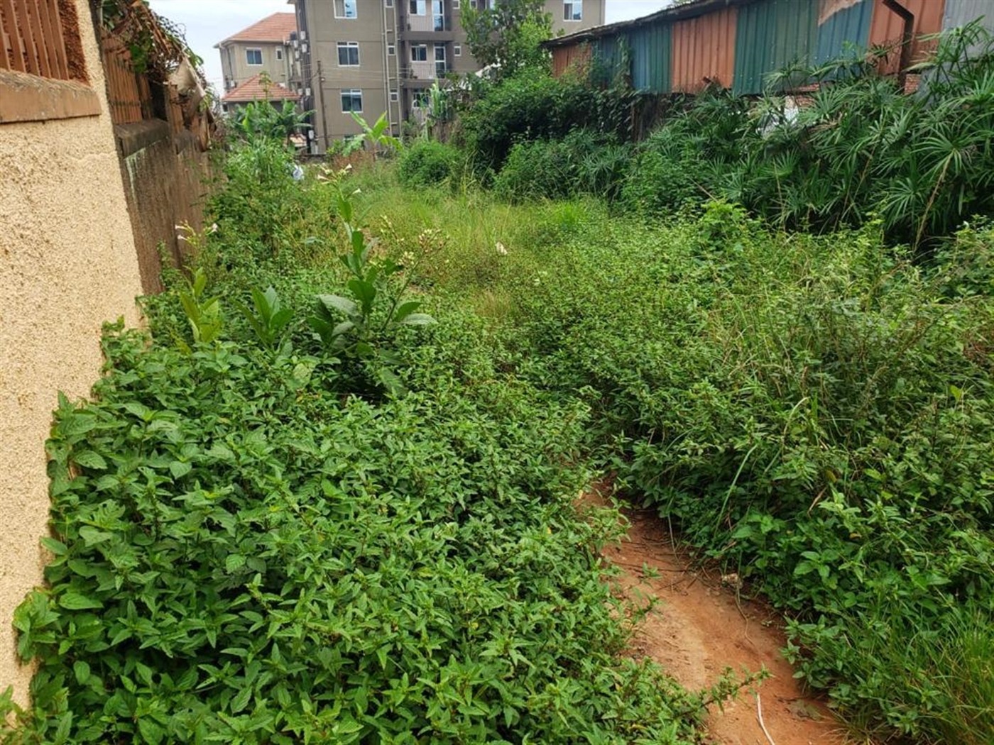 Residential land for sale in Bukoto Wakiso Uganda