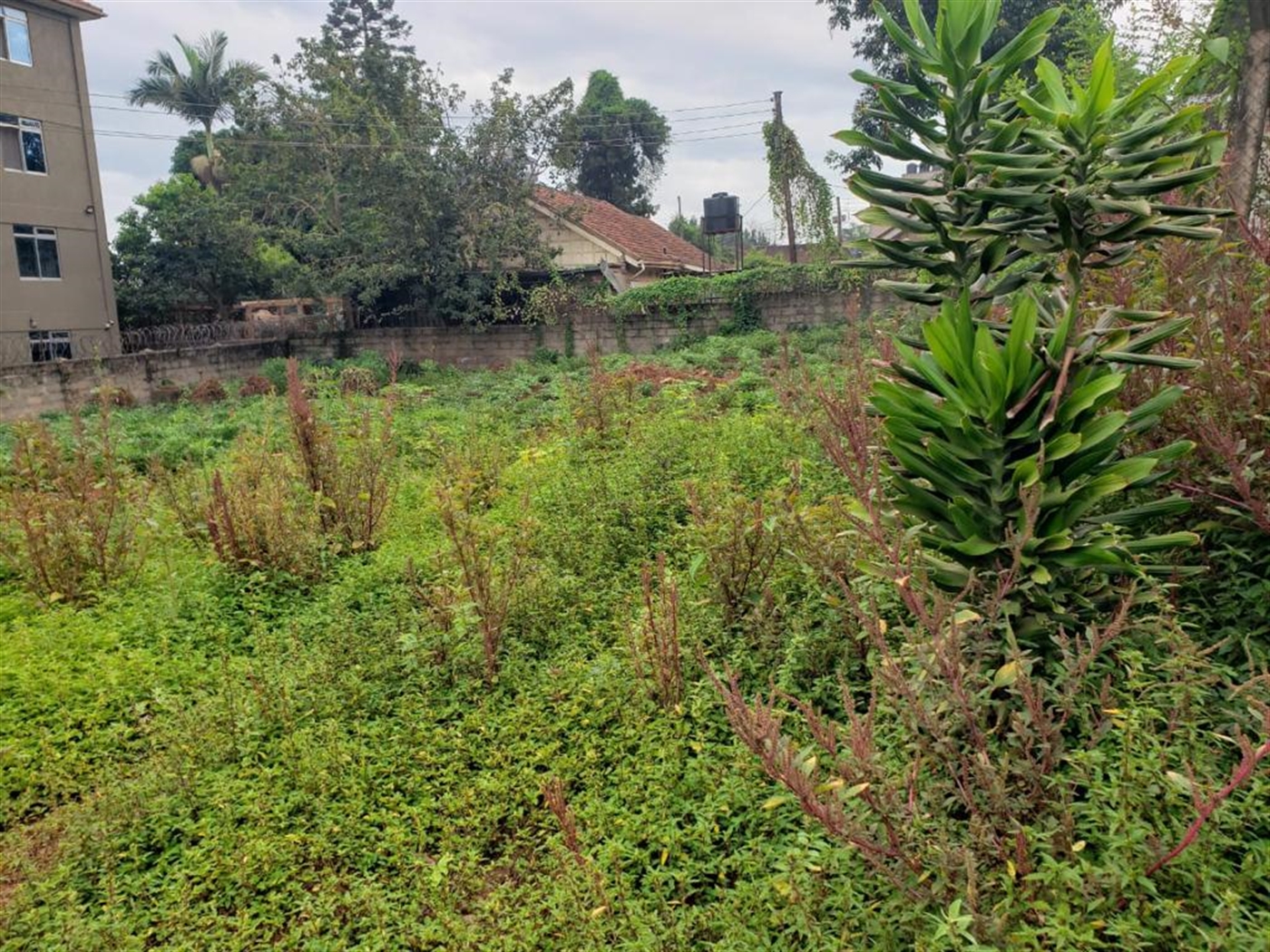 Residential land for sale in Bukoto Wakiso Uganda