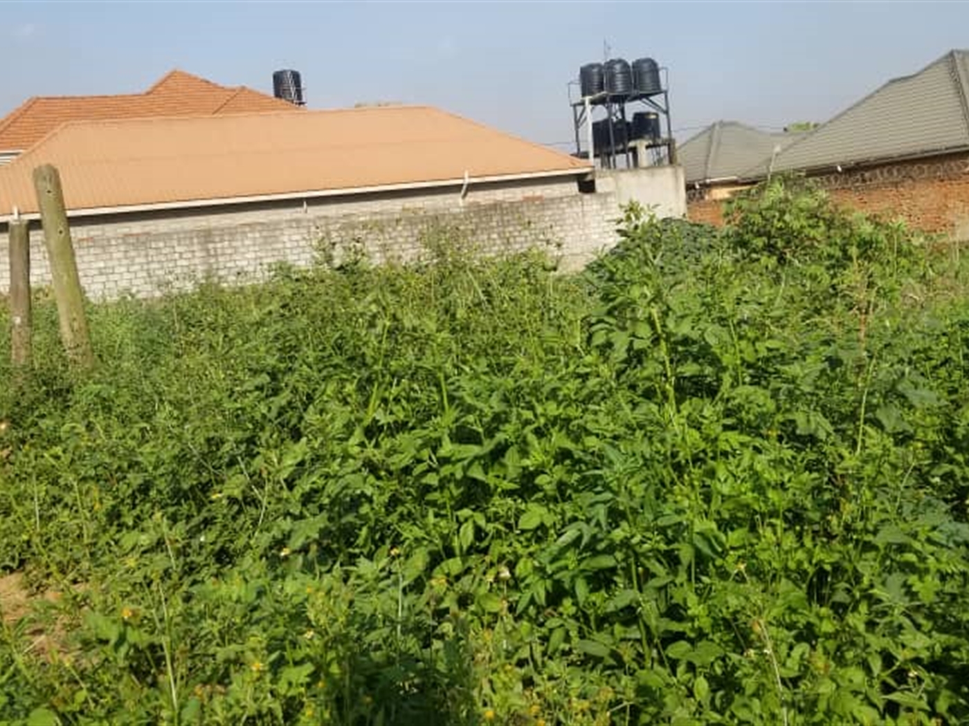 Residential land for sale in Kyanja Kampala Uganda
