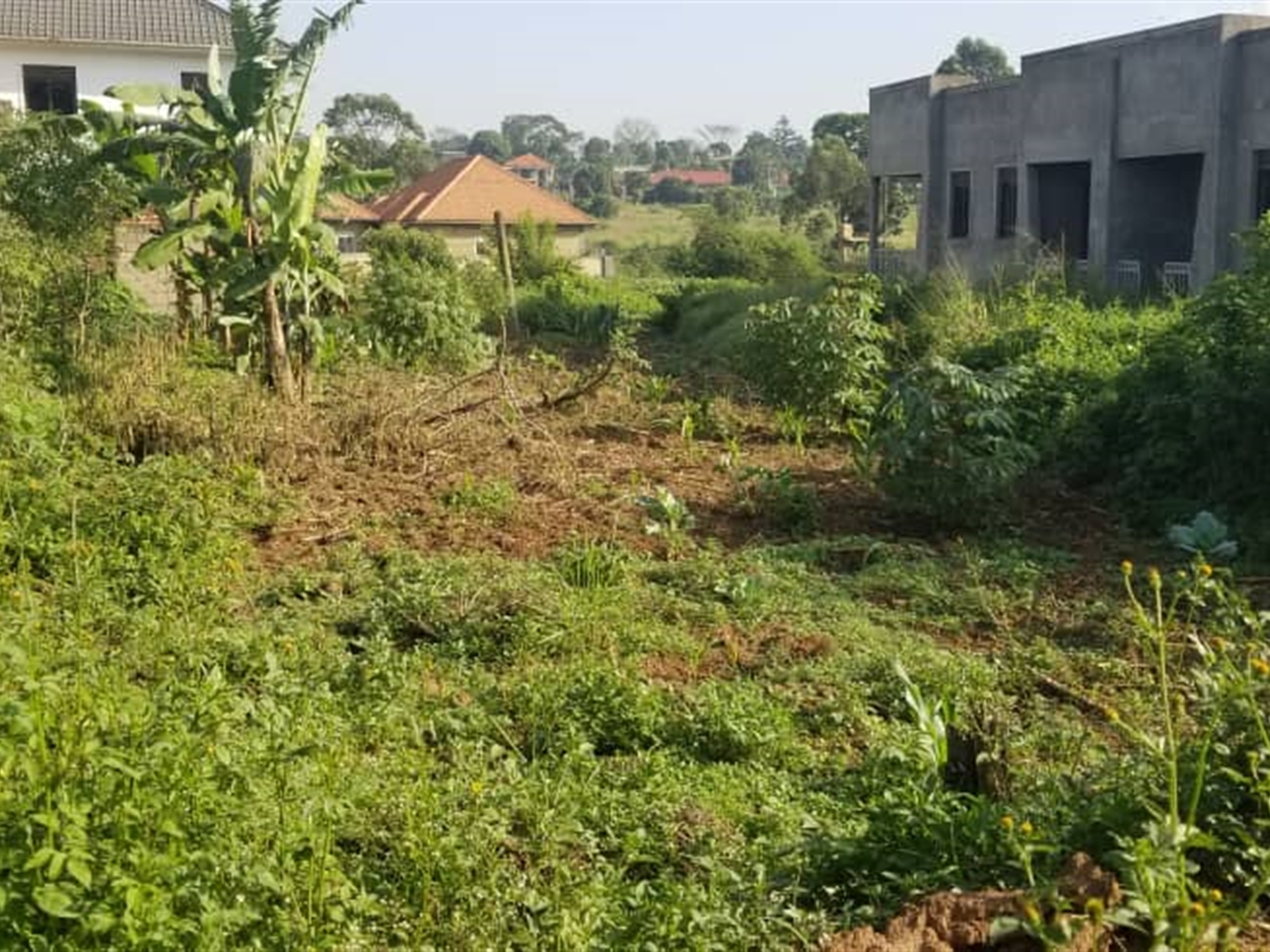 Residential land for sale in Kyanja Kampala Uganda