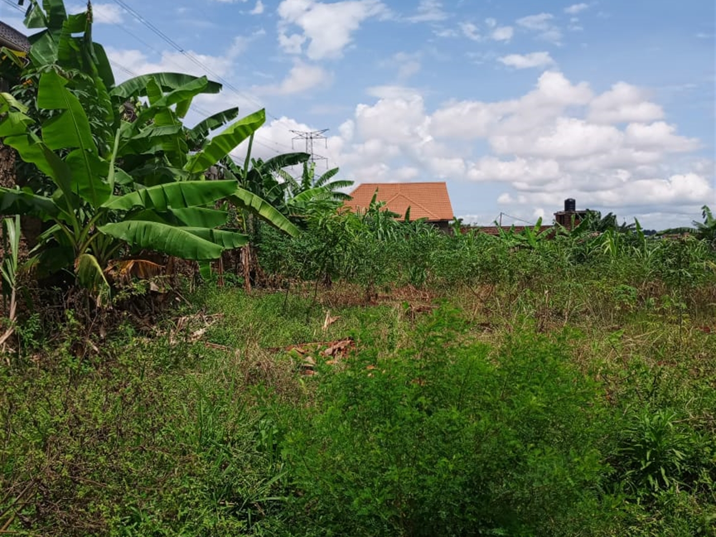 Residential land for sale in Kyanja Kampala Uganda
