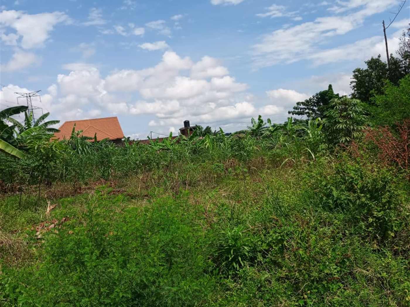 Residential land for sale in Kyanja Kampala Uganda