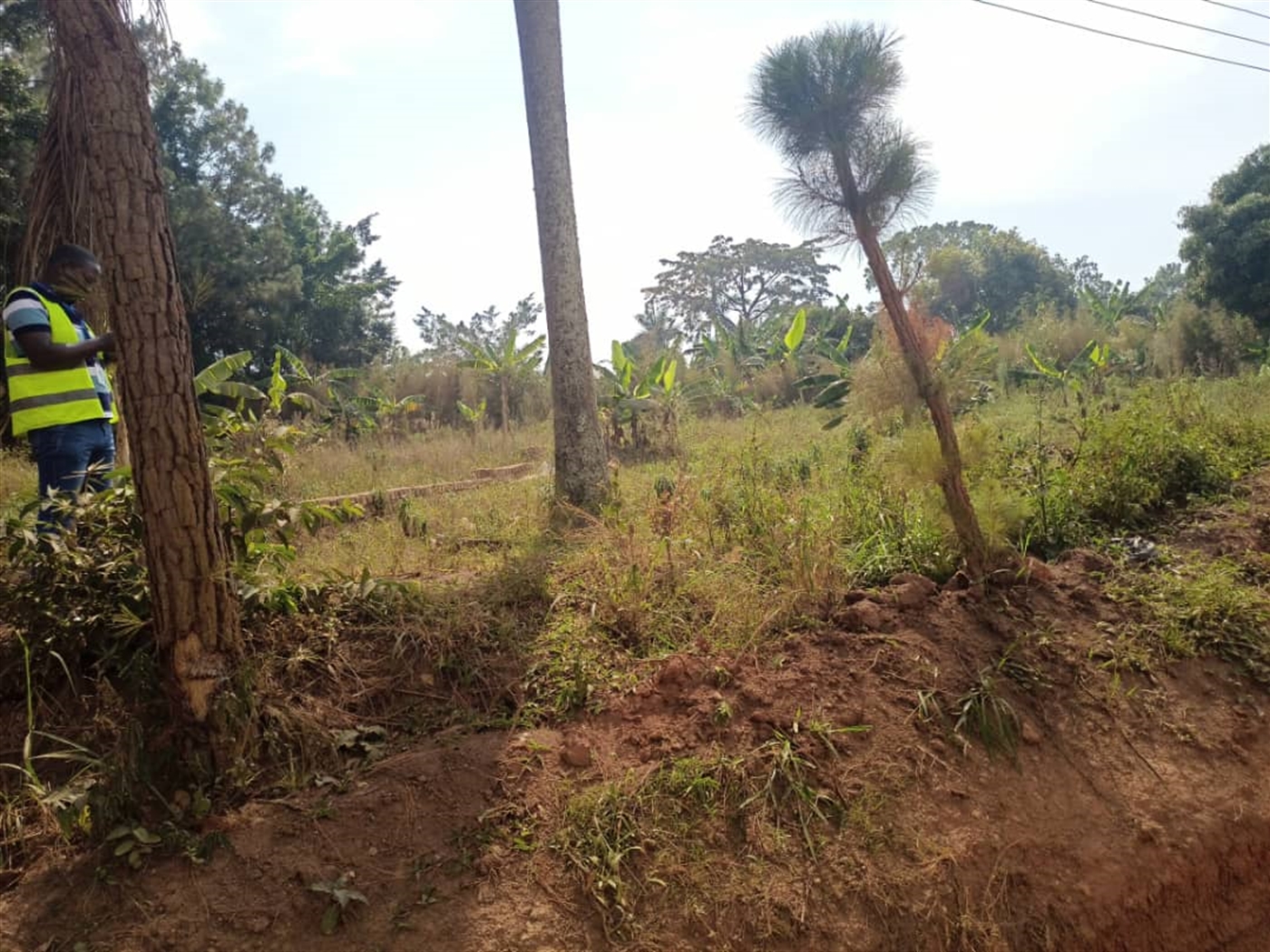 Residential land for sale in Kyanja Wakiso Uganda