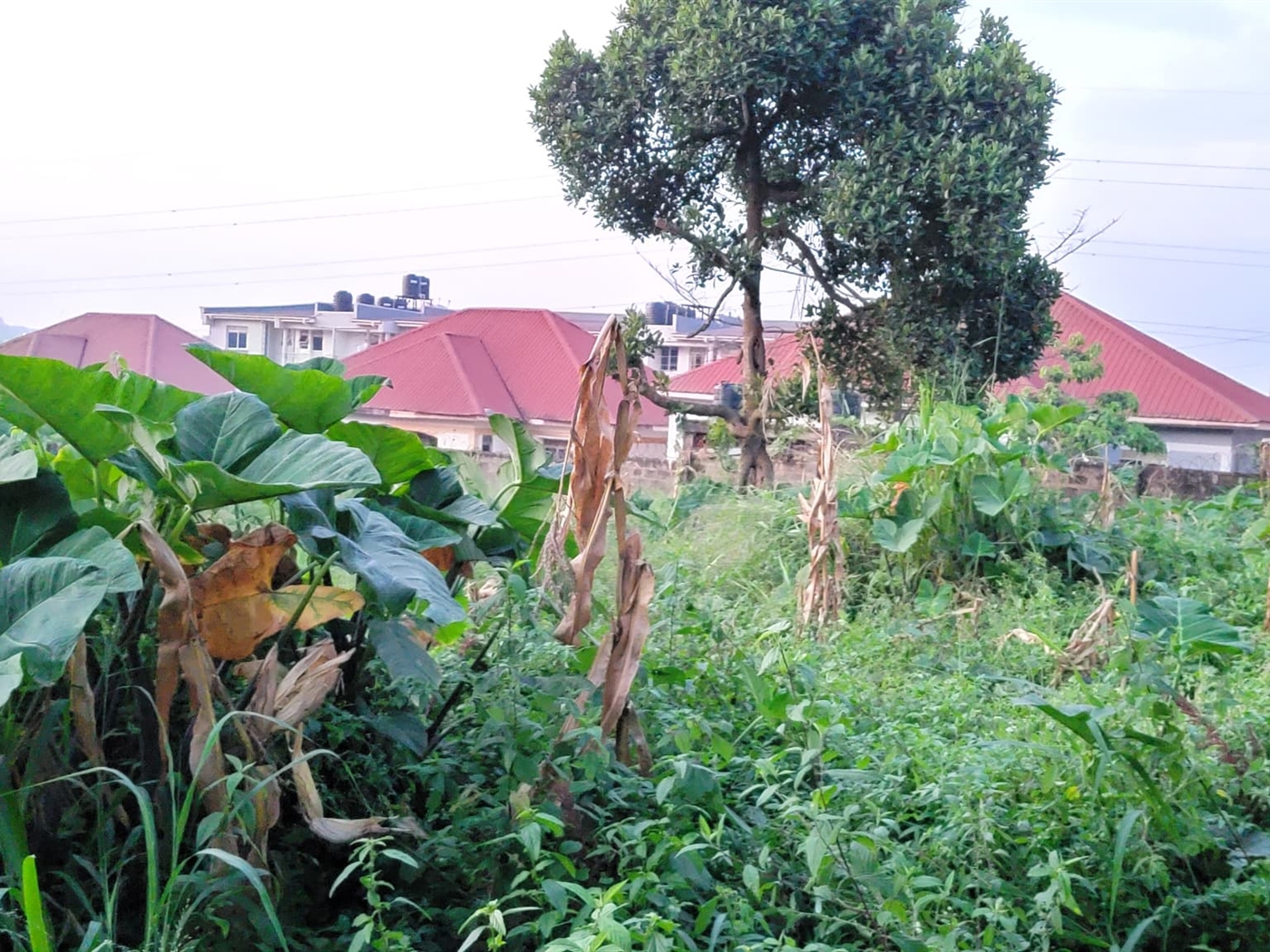 Residential land for sale in Kyanja Kampala Uganda