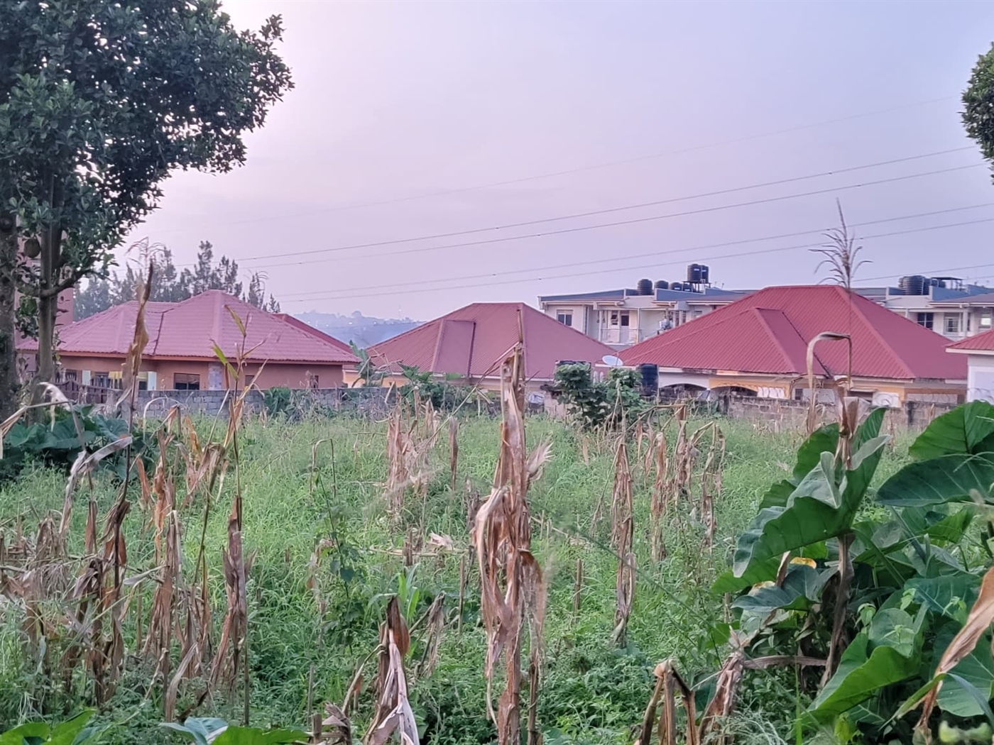 Residential land for sale in Kyanja Kampala Uganda