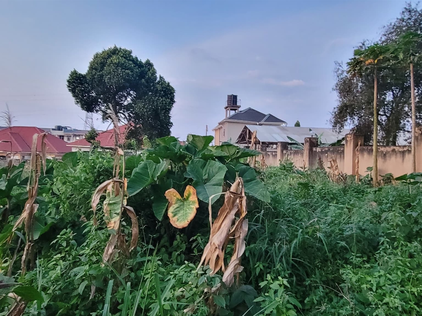Residential land for sale in Kyanja Kampala Uganda