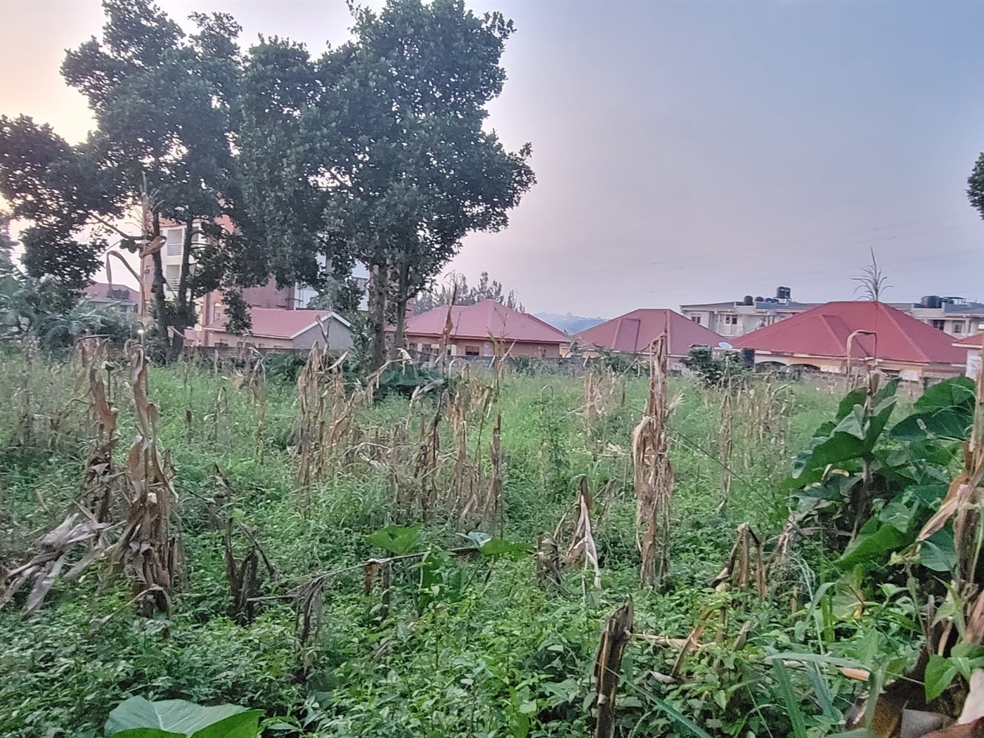 Residential land for sale in Kyanja Kampala Uganda