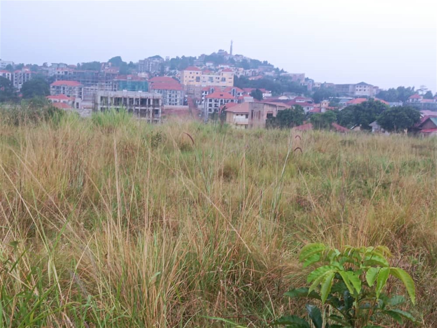 Residential land for sale in Kyanja Kampala Uganda