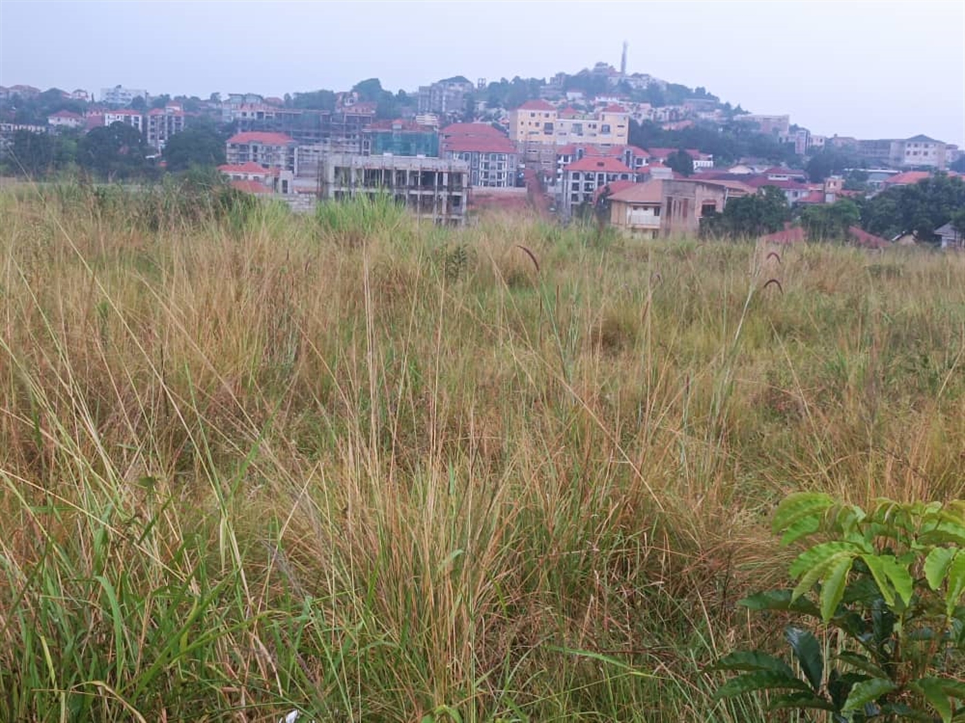 Residential land for sale in Kyanja Kampala Uganda