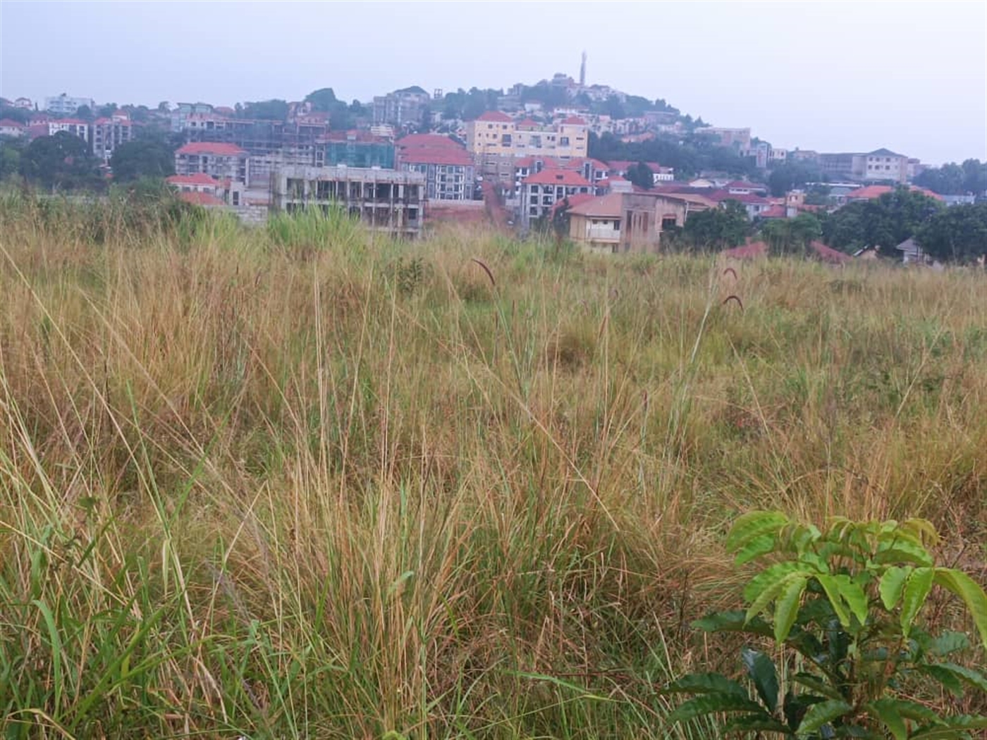 Residential land for sale in Kyanja Kampala Uganda