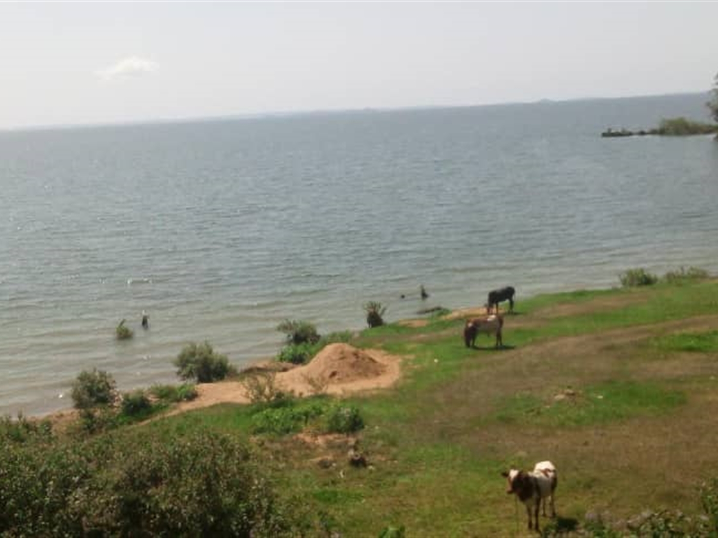 Recreational land for sale in Bwelenga Wakiso Uganda